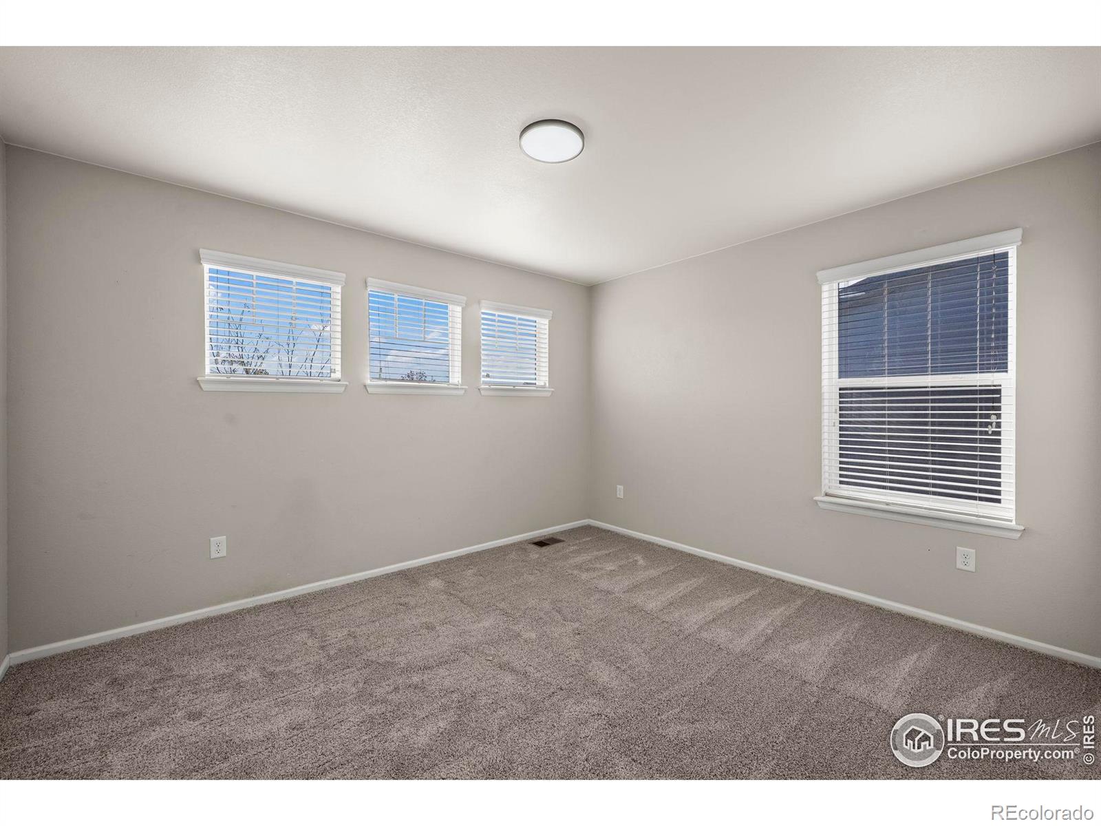 MLS Image #18 for 5512  bexley drive,windsor, Colorado