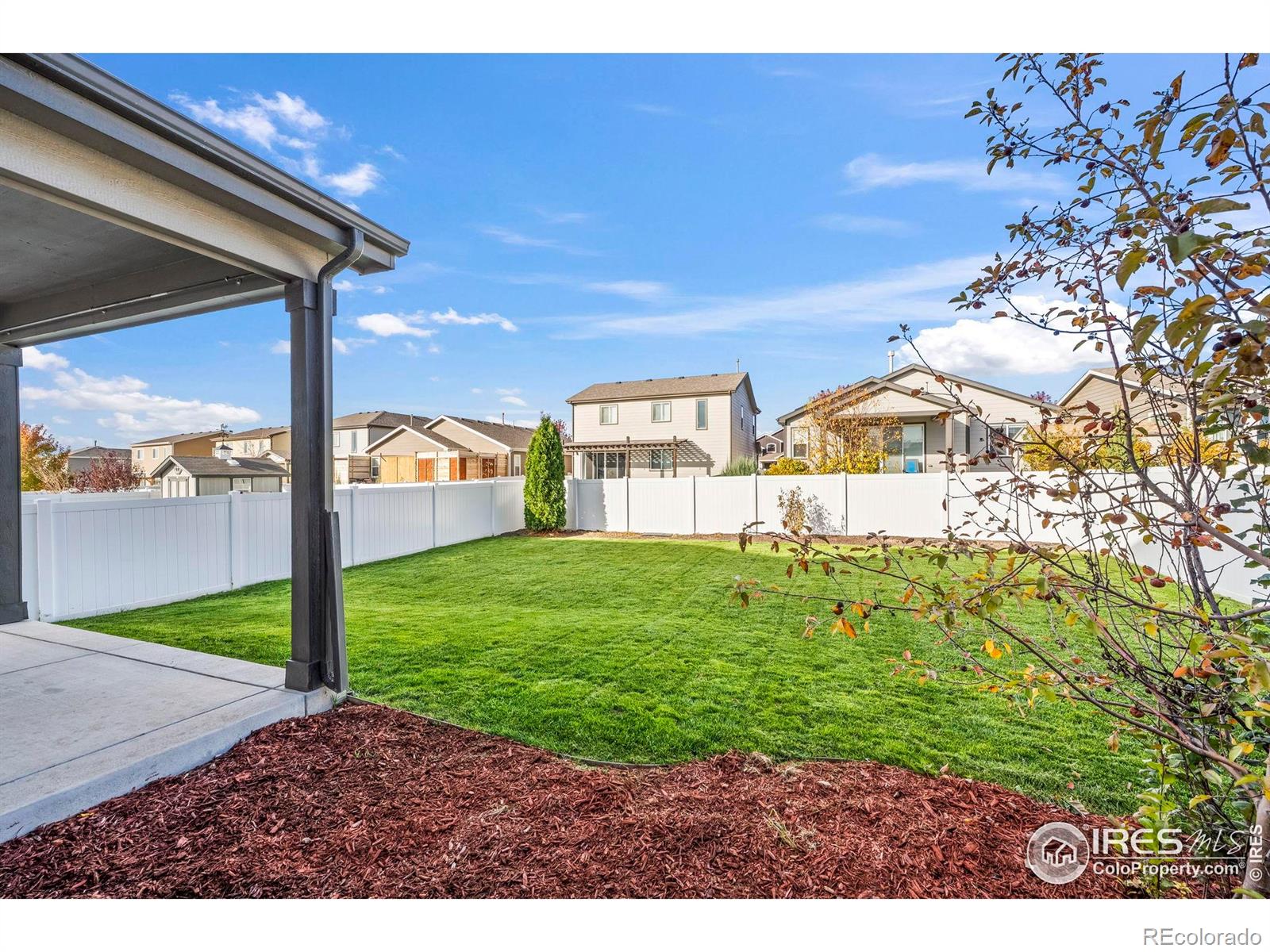 MLS Image #27 for 5512  bexley drive,windsor, Colorado
