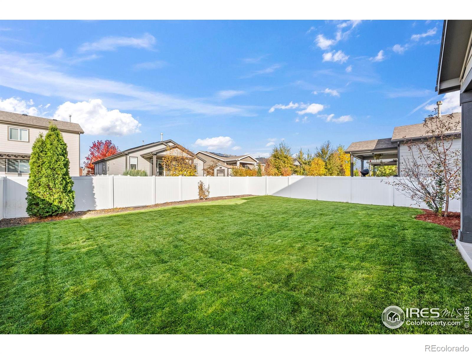 MLS Image #28 for 5512  bexley drive,windsor, Colorado