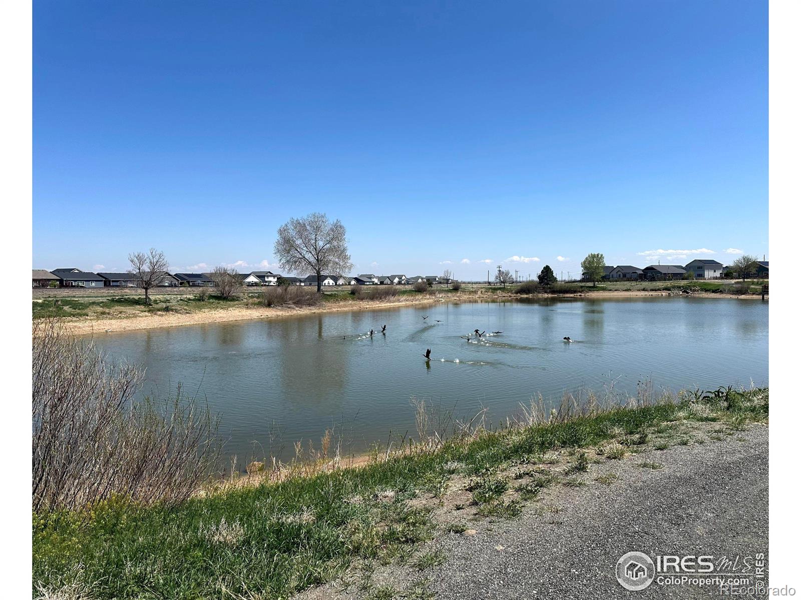 MLS Image #32 for 795  saddleback drive,milliken, Colorado