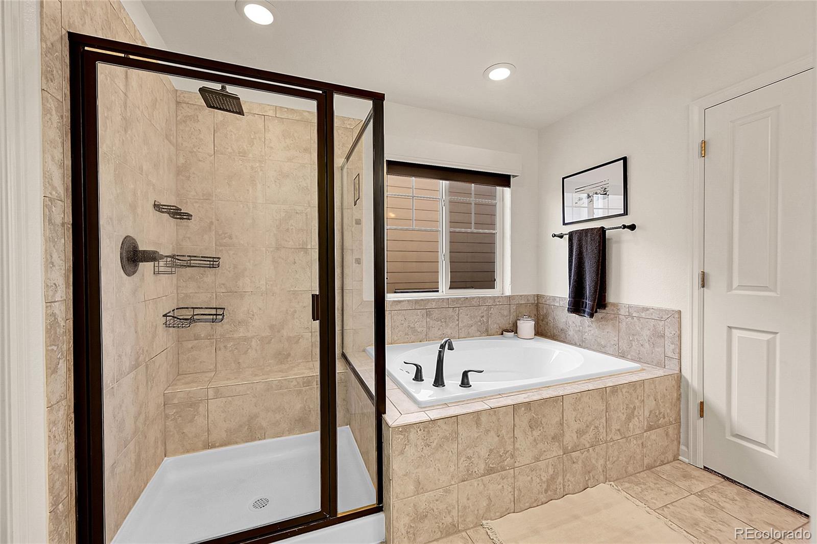 MLS Image #23 for 1467  morningview lane,castle rock, Colorado