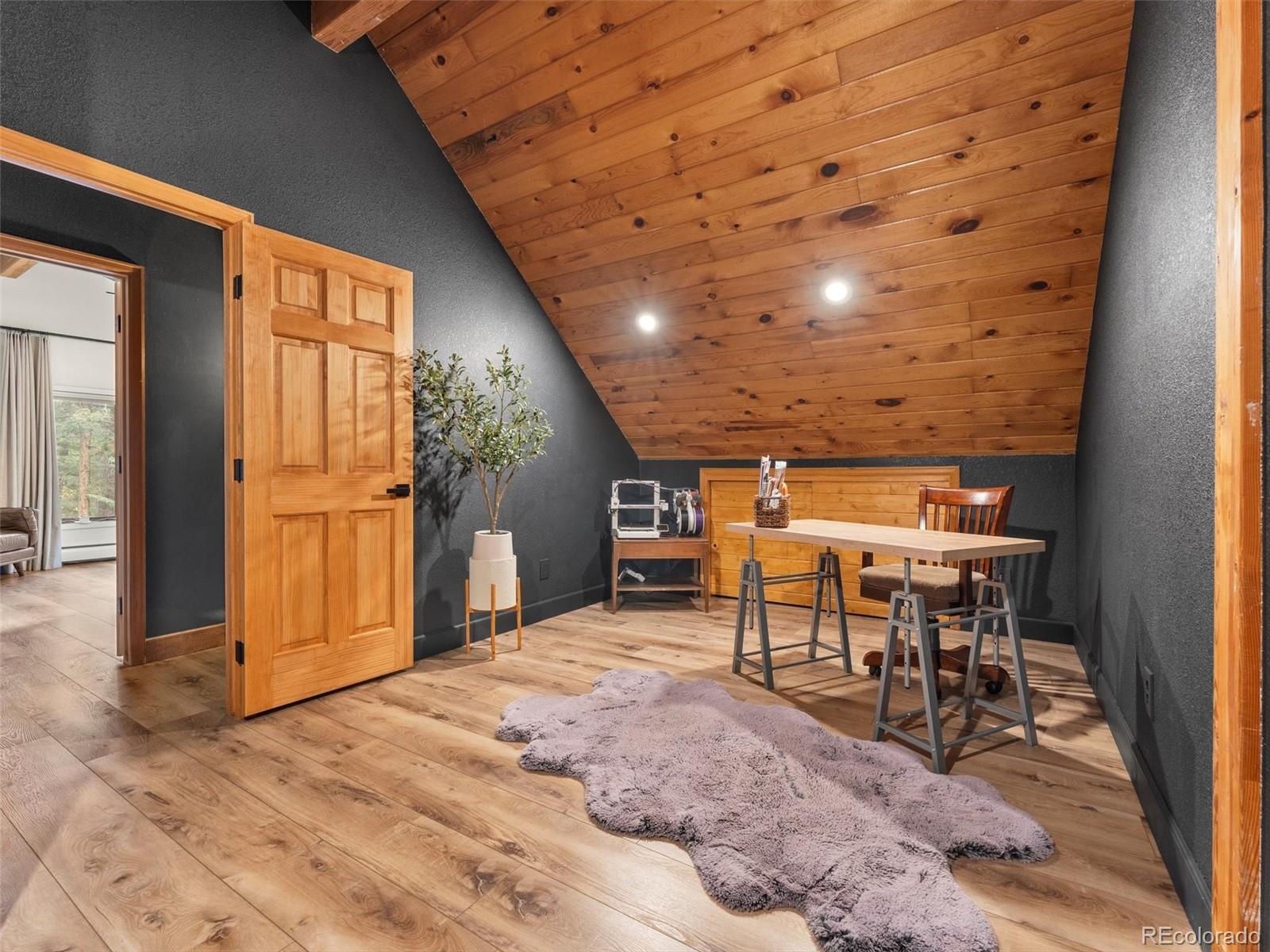 MLS Image #15 for 9459 s turkey creek road,morrison, Colorado