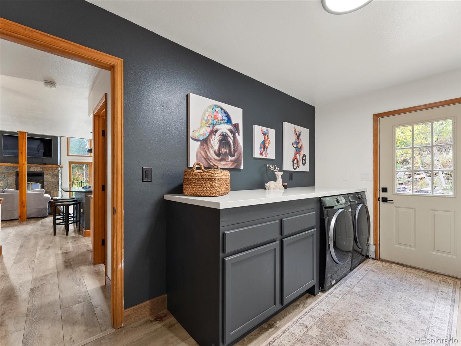 MLS Image #9 for 9459 s turkey creek road,morrison, Colorado
