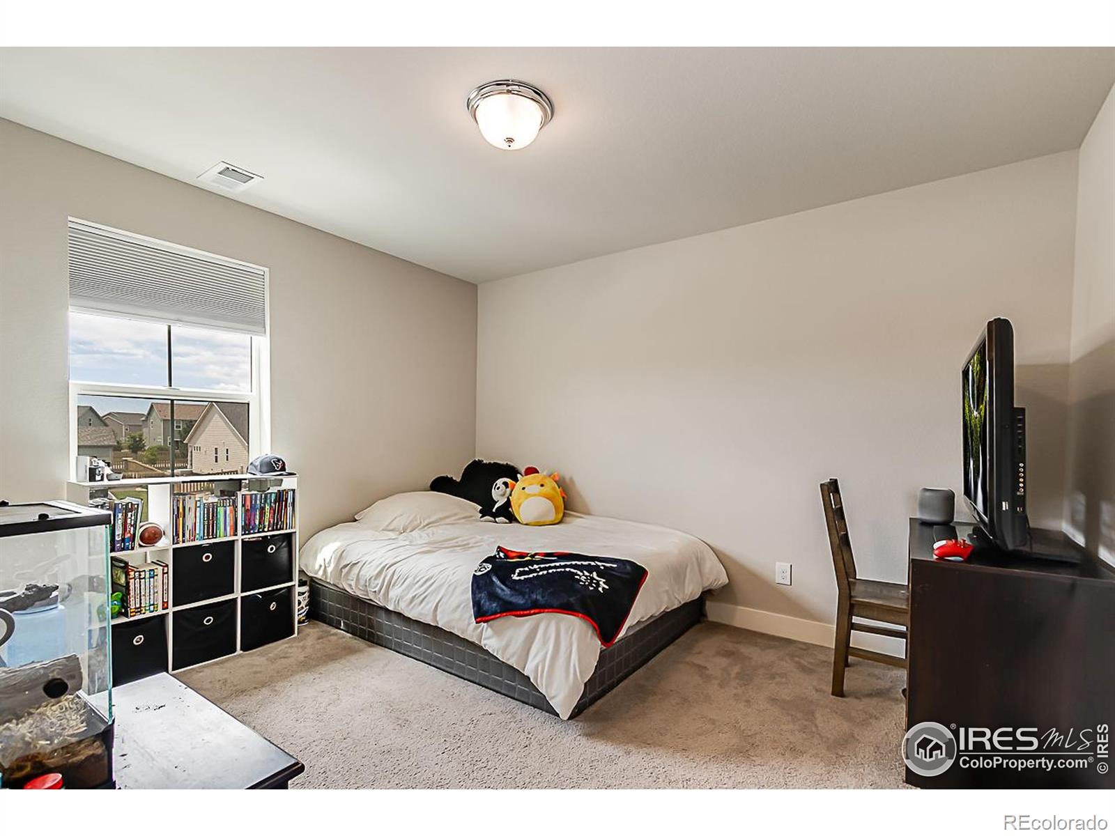 MLS Image #20 for 6398  verna court,timnath, Colorado