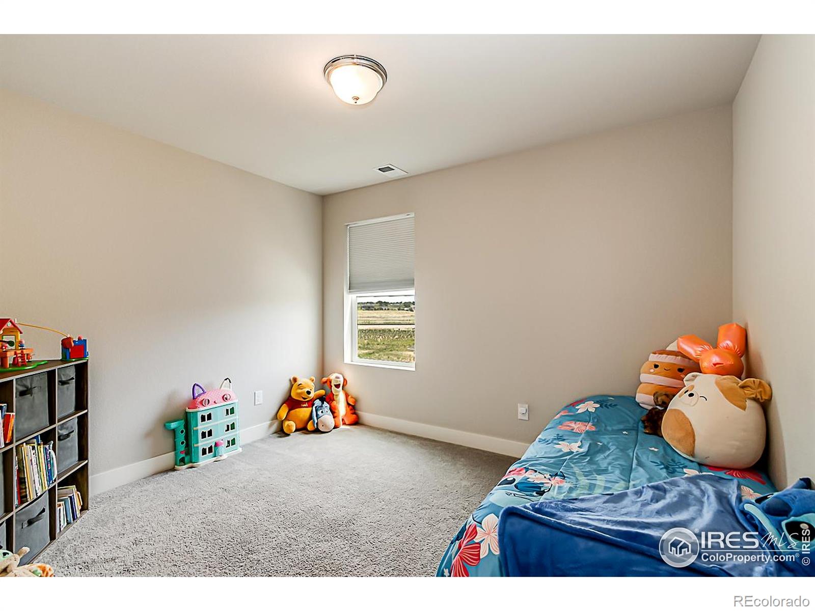 MLS Image #21 for 6398  verna court,timnath, Colorado