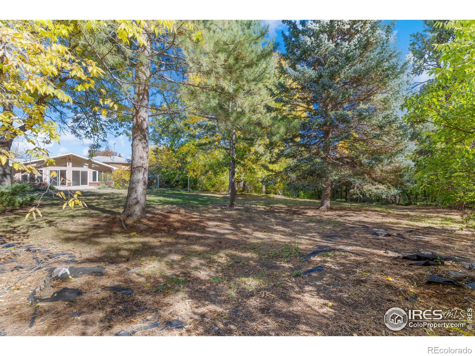 MLS Image #11 for 1526  sunset boulevard,boulder, Colorado