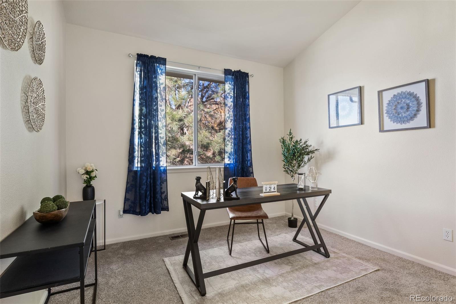 MLS Image #20 for 19615 e clear creek trail,parker, Colorado