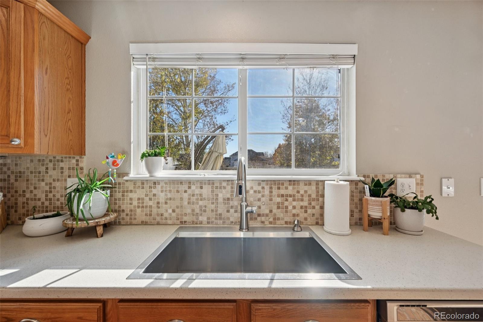 MLS Image #11 for 4250  combine place ,brighton, Colorado