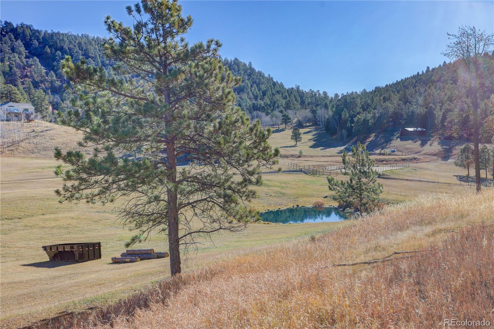 MLS Image #14 for 28555  memorial park way,conifer, Colorado