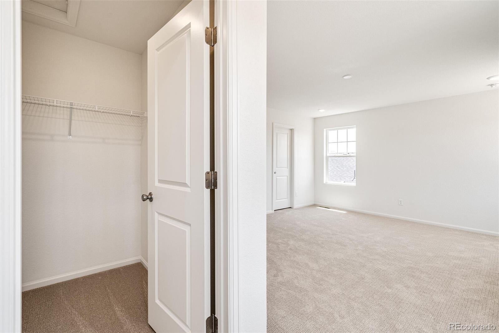 MLS Image #23 for 1821  waterbirch way,castle rock, Colorado