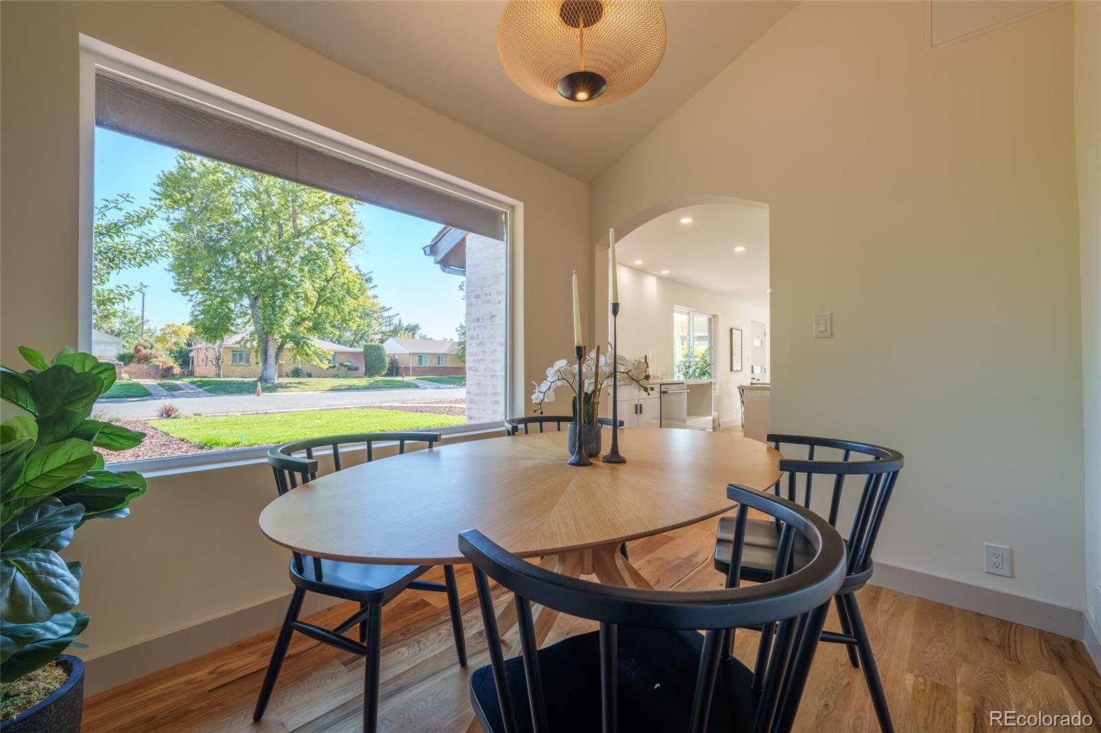 MLS Image #9 for 3055  ivanhoe street,denver, Colorado
