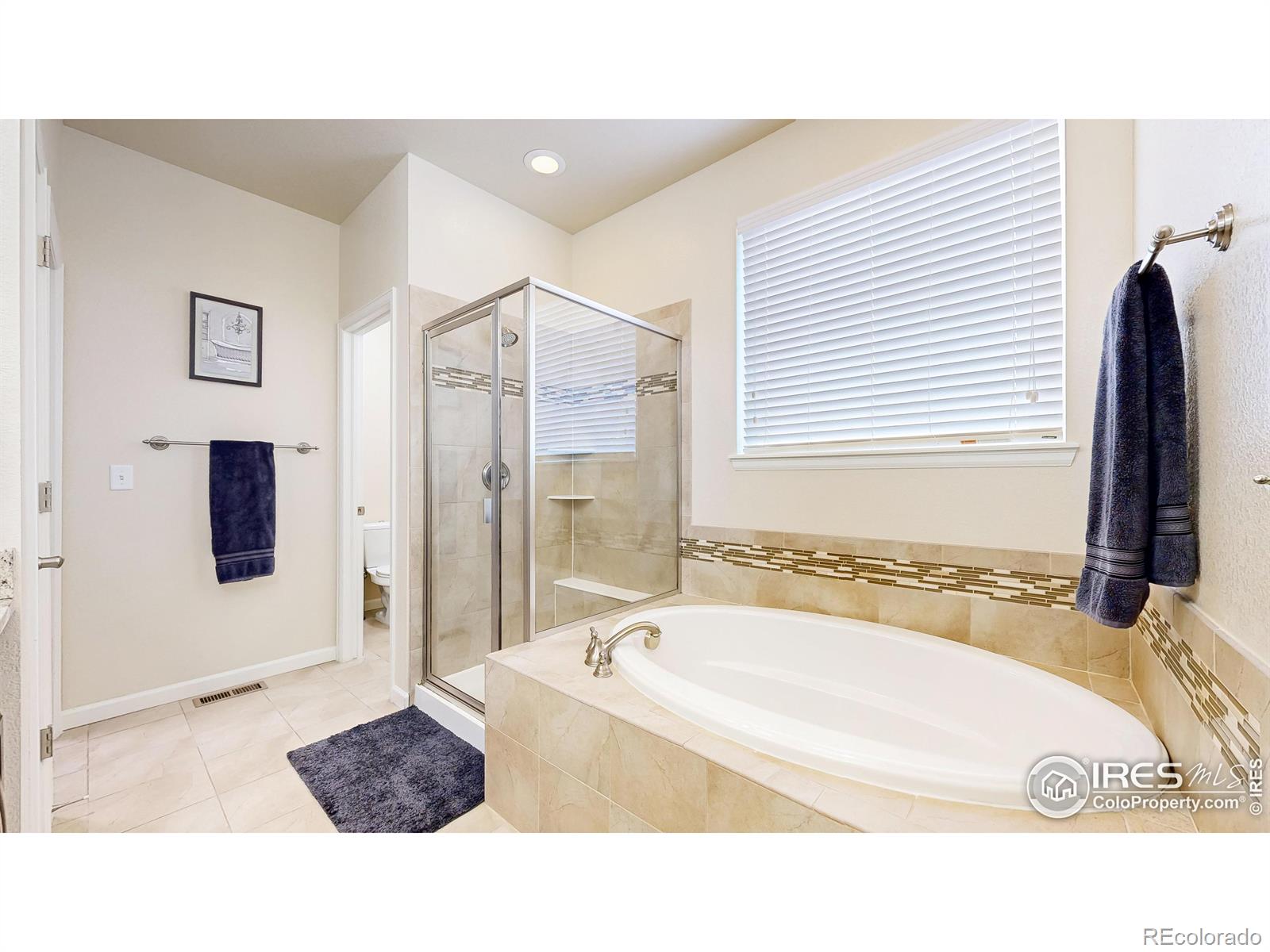 MLS Image #22 for 6794  spring rain road,timnath, Colorado