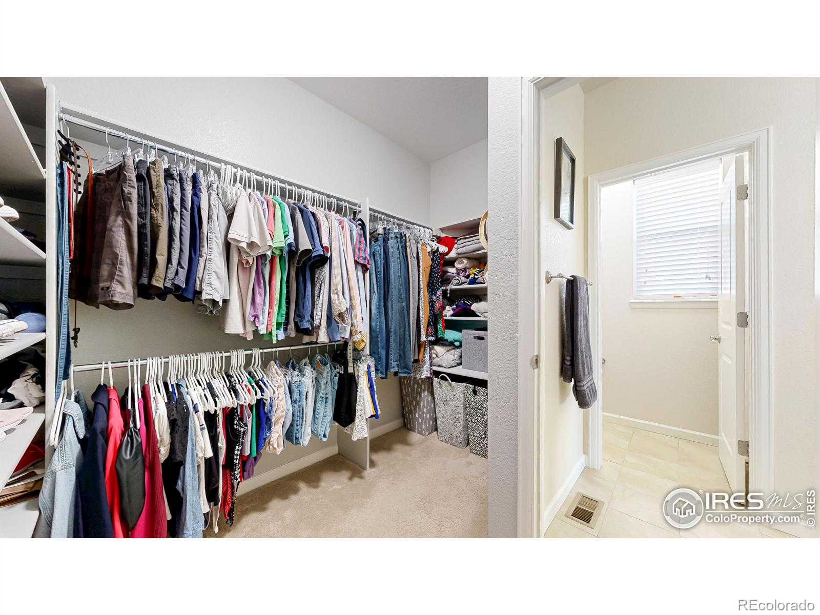 MLS Image #24 for 6794  spring rain road,timnath, Colorado