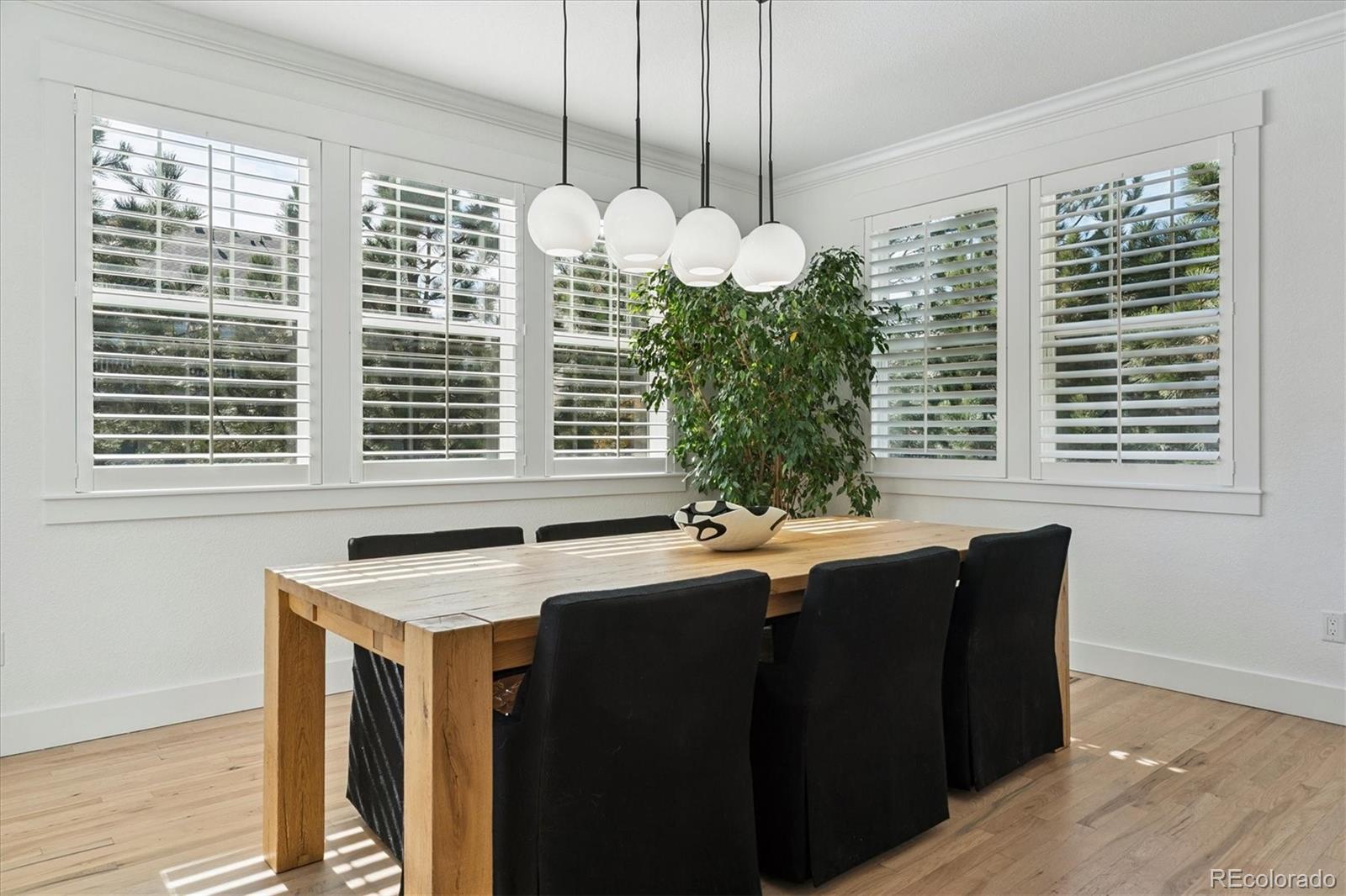 MLS Image #15 for 1252  bonnyton place,castle rock, Colorado