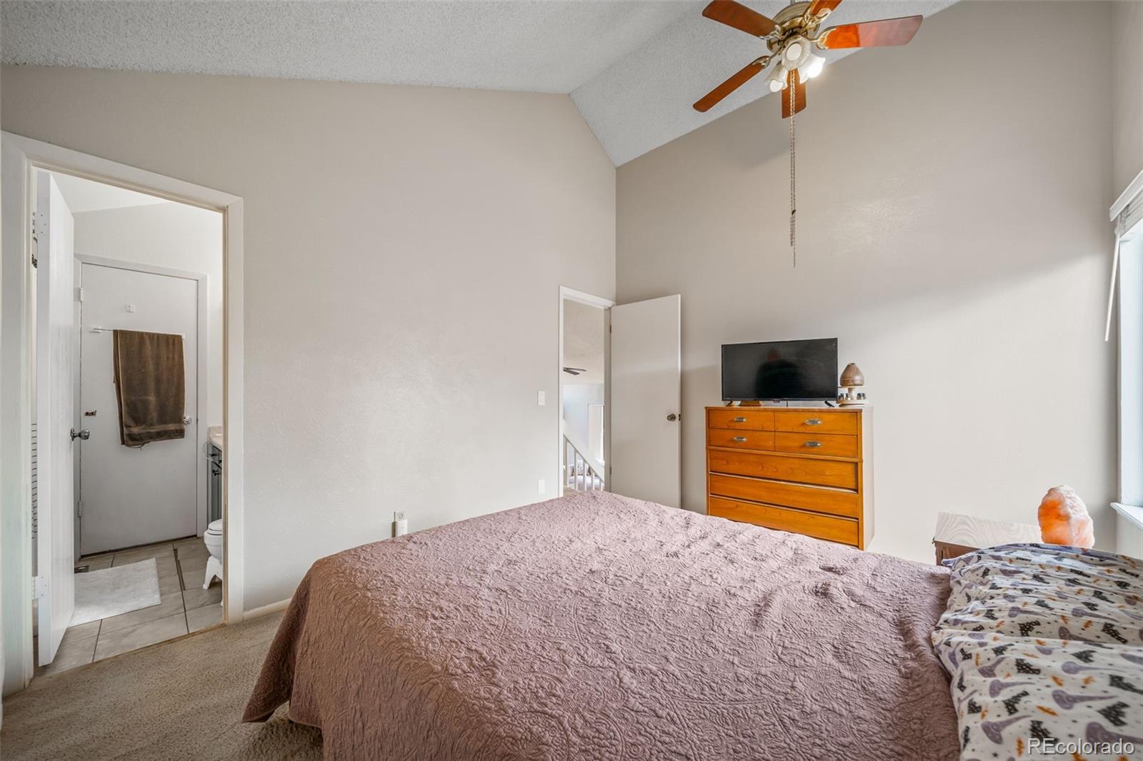 MLS Image #19 for 3853 s genoa court,aurora, Colorado