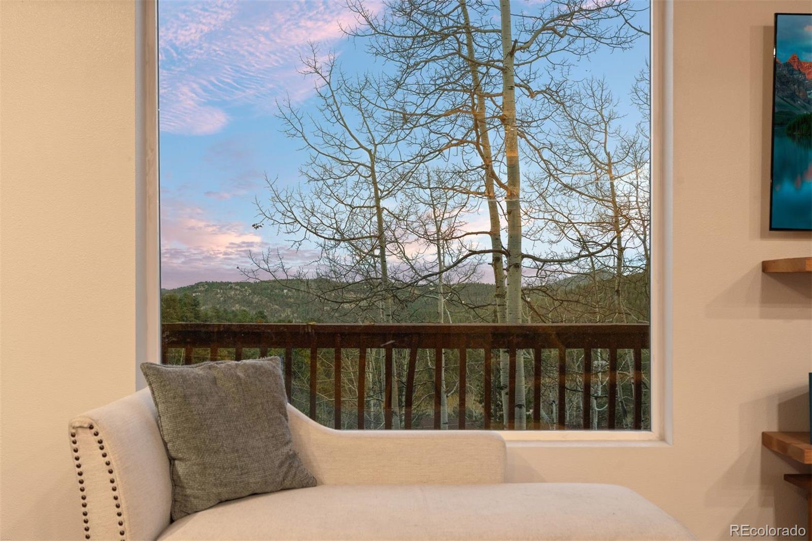 MLS Image #14 for 32351  lodgepole drive,evergreen, Colorado