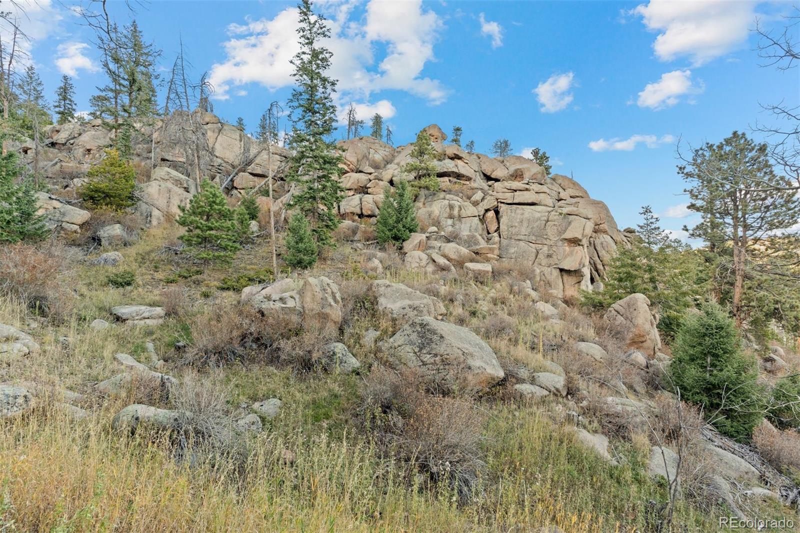 MLS Image #28 for 32351  lodgepole drive,evergreen, Colorado