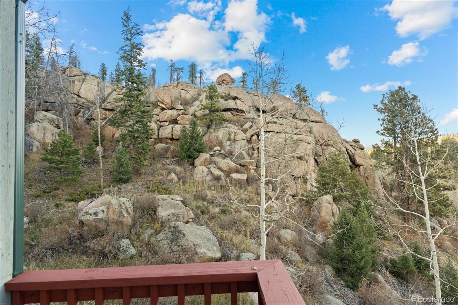 MLS Image #44 for 32351  lodgepole drive,evergreen, Colorado