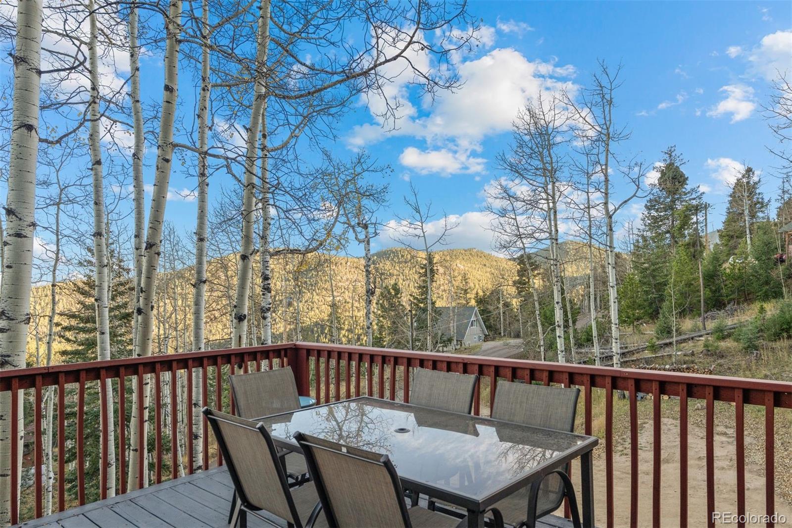 MLS Image #46 for 32351  lodgepole drive,evergreen, Colorado