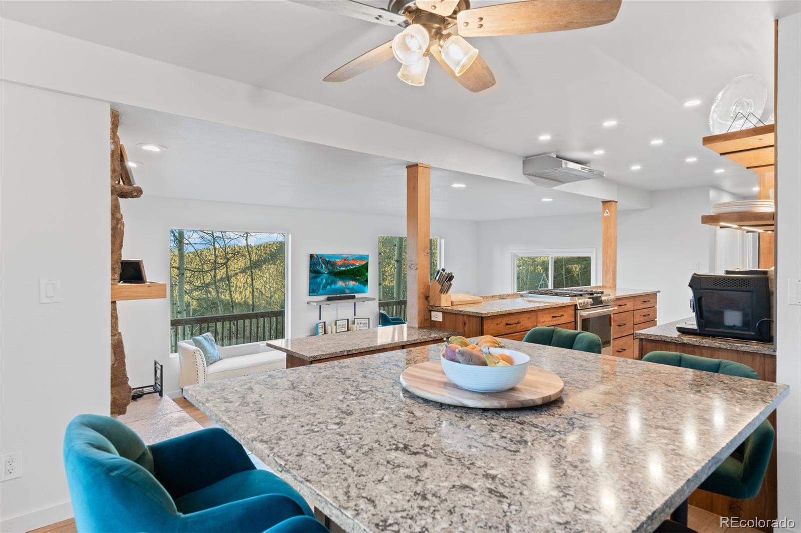 MLS Image #8 for 32351  lodgepole drive,evergreen, Colorado