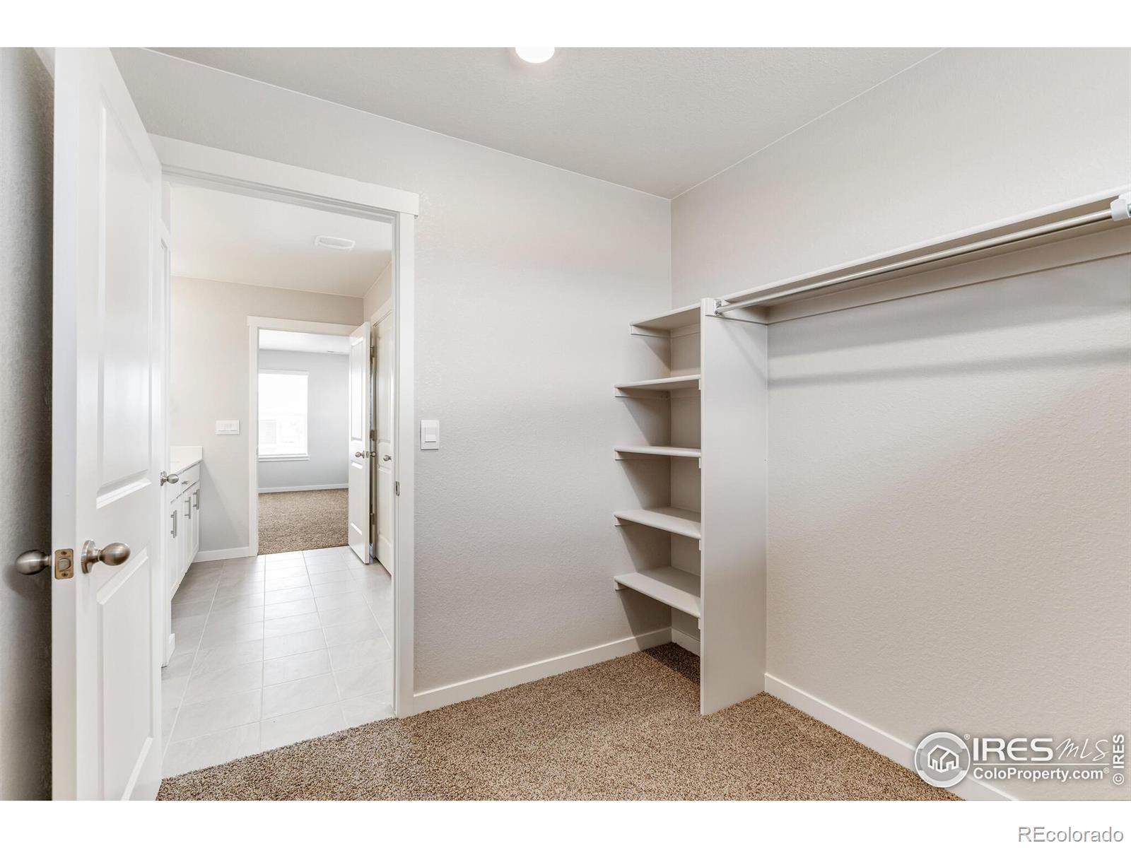 MLS Image #18 for 1894  chaffee crest drive,berthoud, Colorado