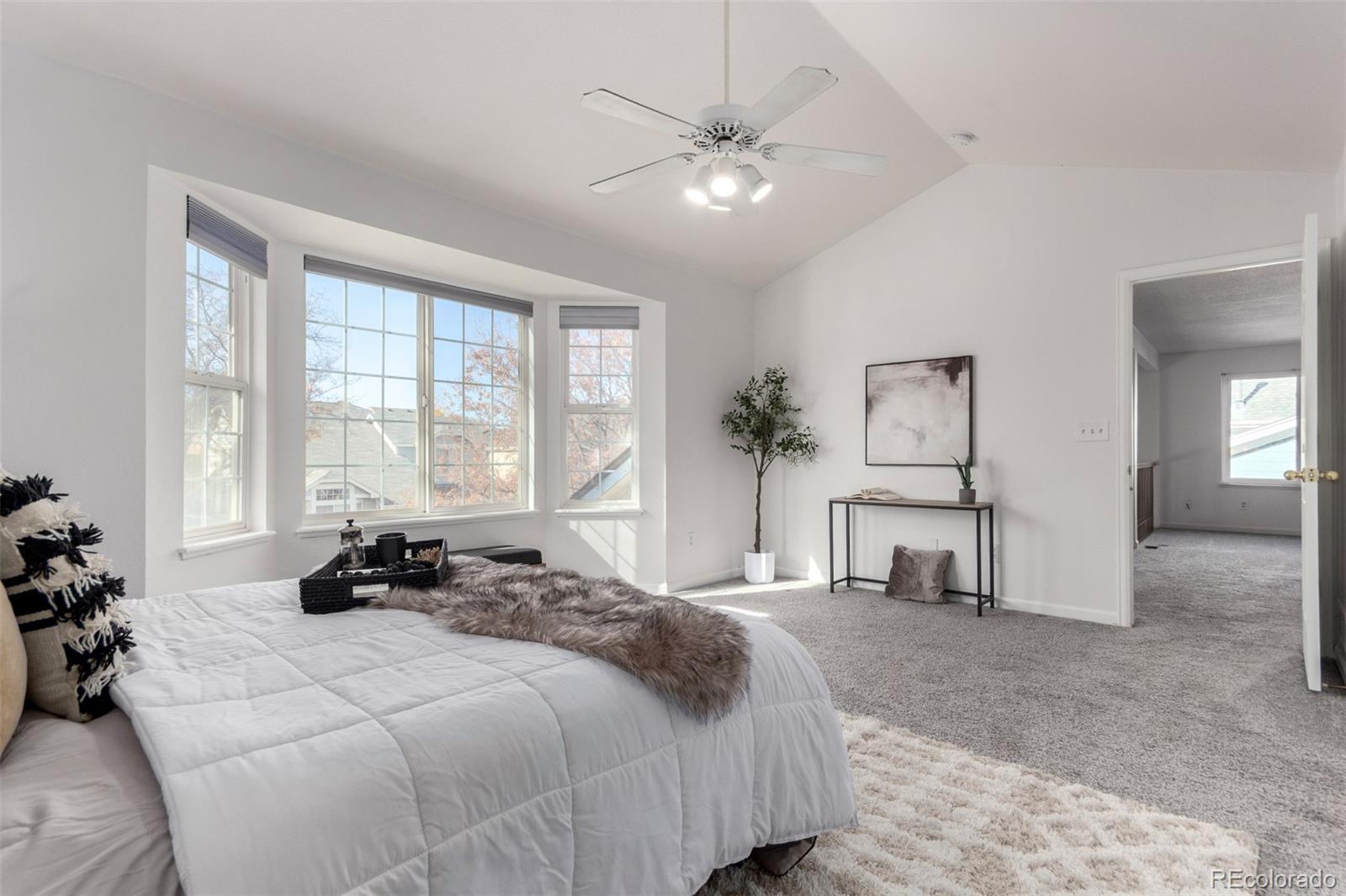 MLS Image #15 for 12224  sunflower street,broomfield, Colorado