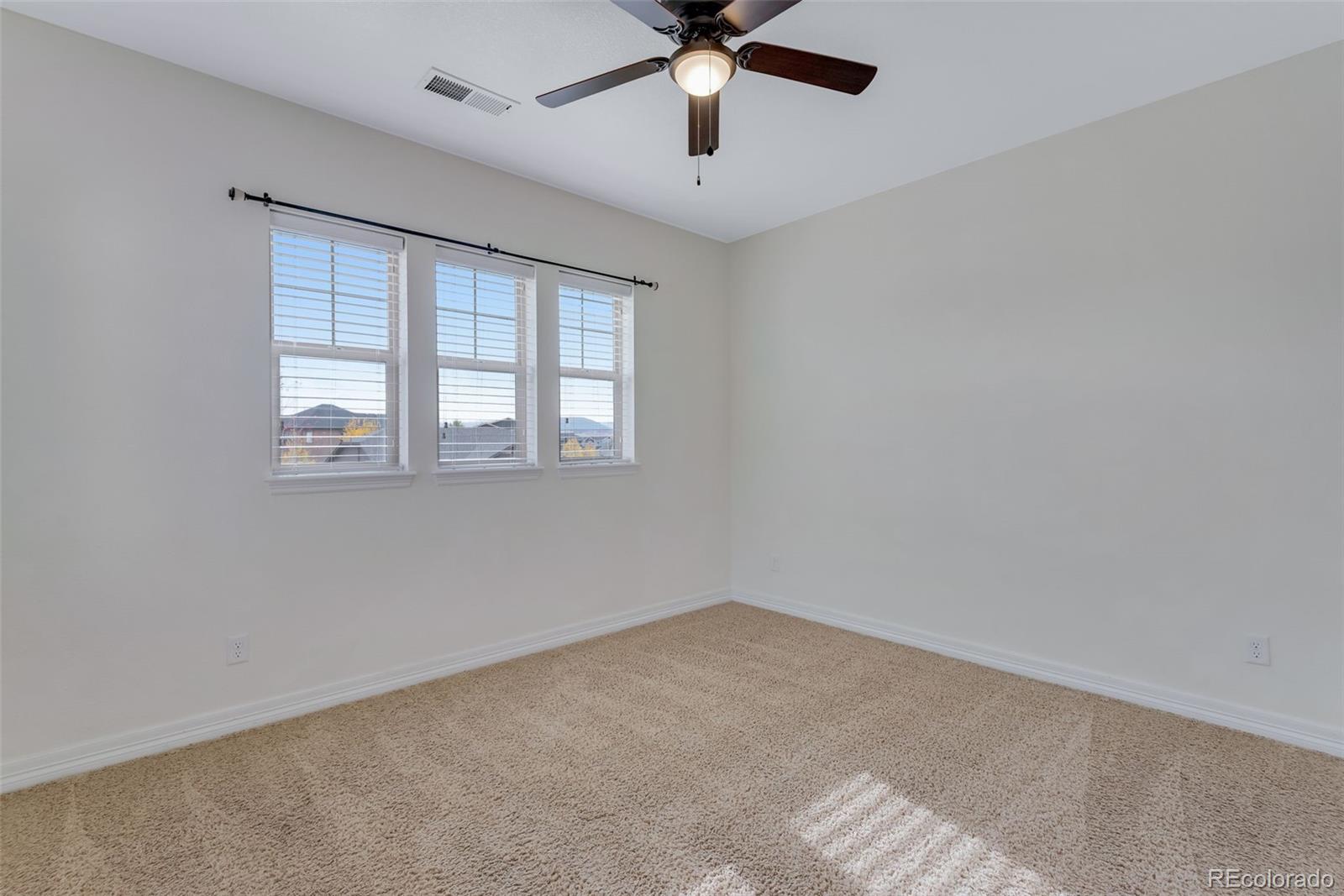 MLS Image #20 for 3834  donnington circle,castle rock, Colorado