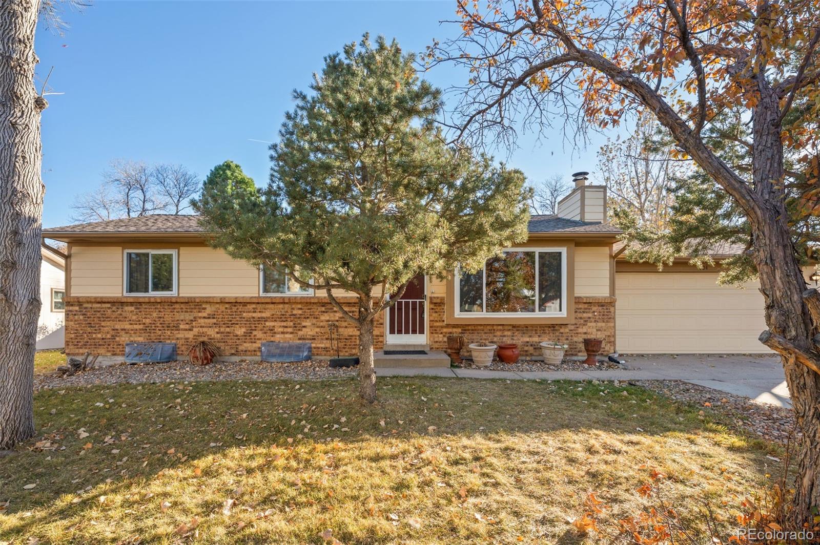 MLS Image #4 for 804  oakwood drive,castle rock, Colorado