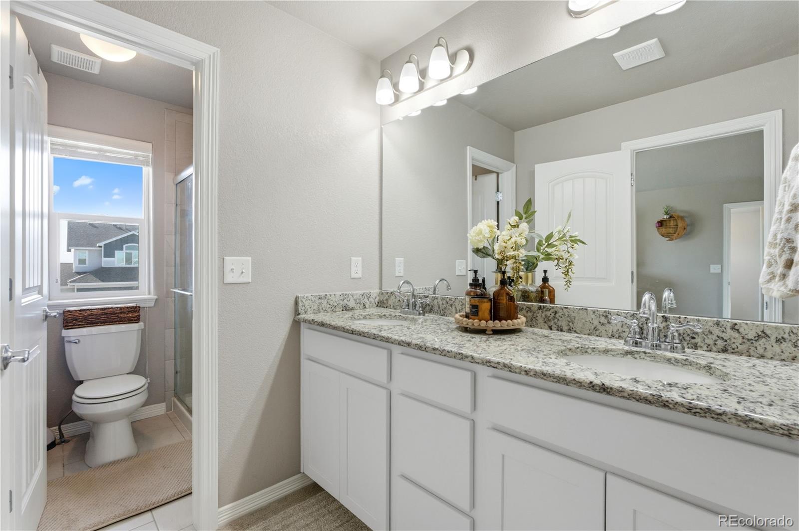MLS Image #13 for 2173  angus street,mead, Colorado