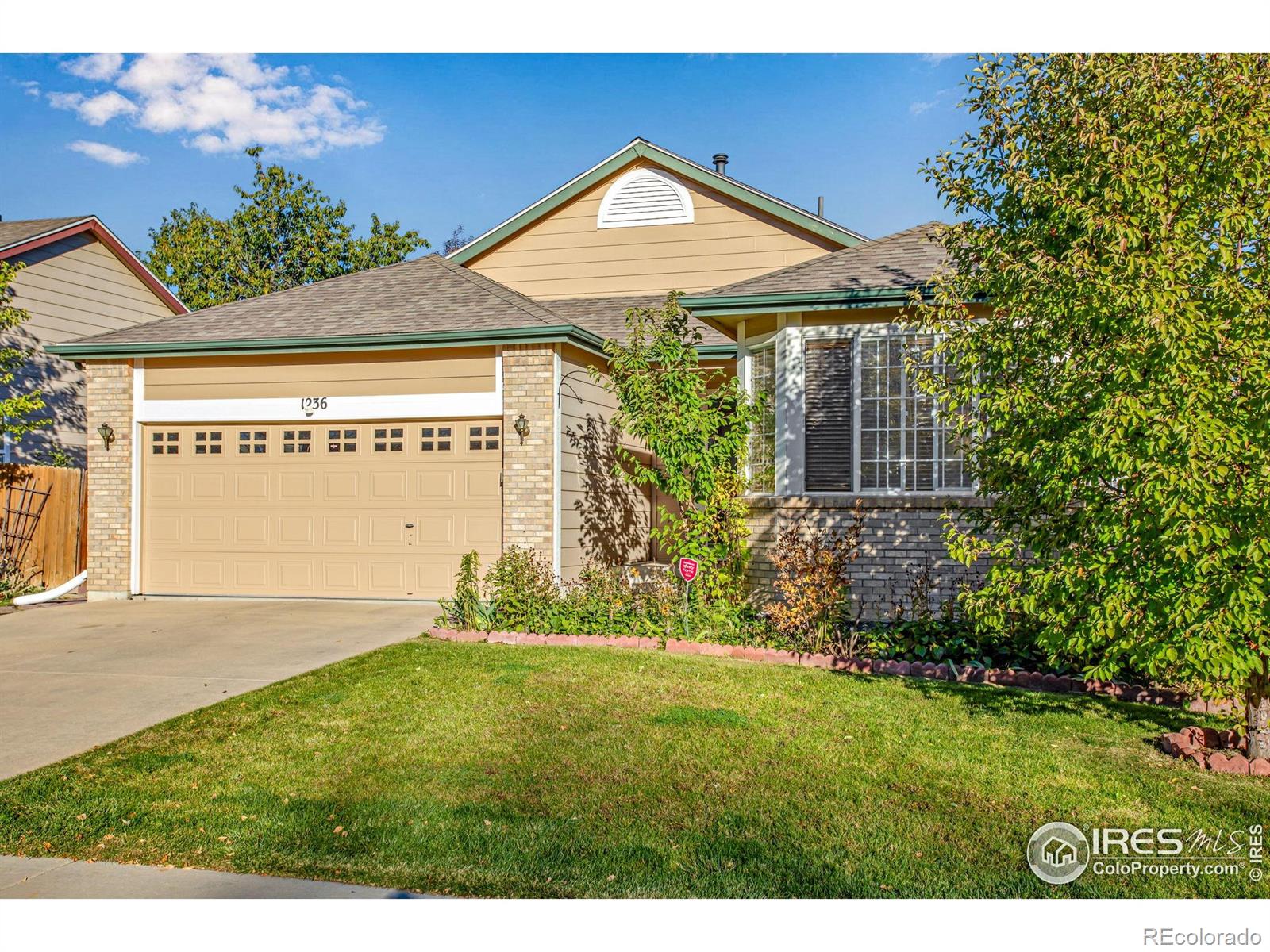 MLS Image #1 for 1236  button rock drive,longmont, Colorado