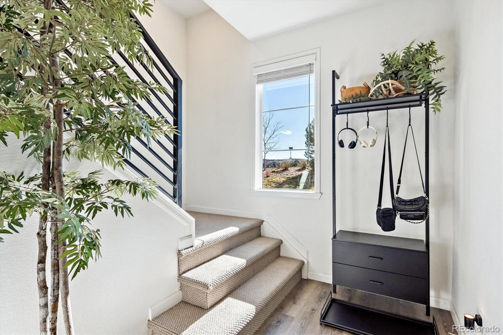 MLS Image #29 for 1604  castle creek circle ,castle rock, Colorado