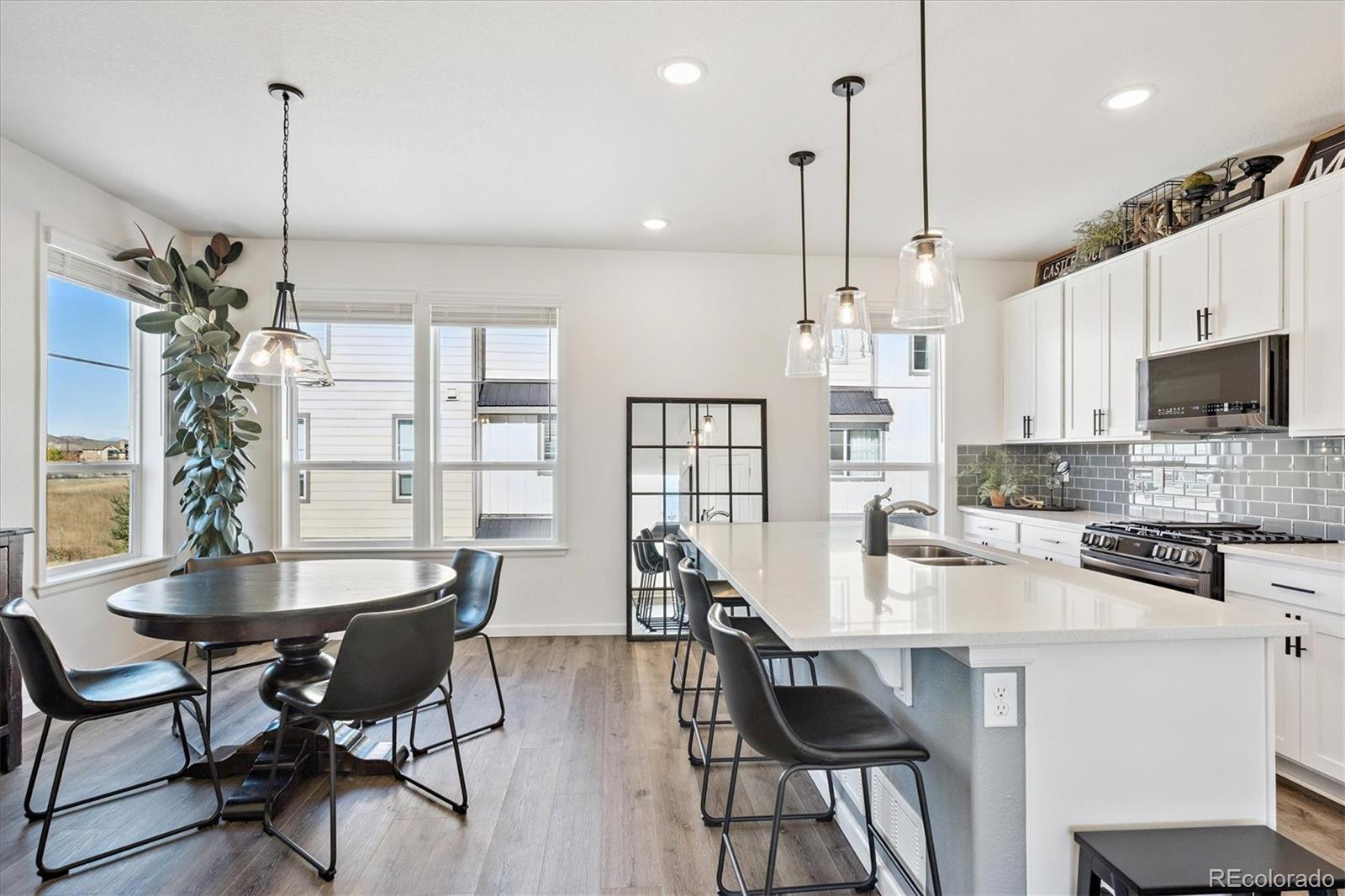 MLS Image #4 for 1604  castle creek circle ,castle rock, Colorado