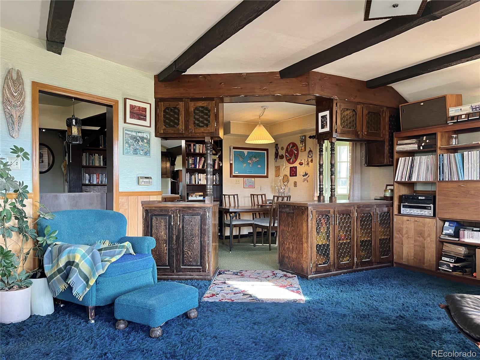 MLS Image #15 for 160 s circle drive,bailey, Colorado