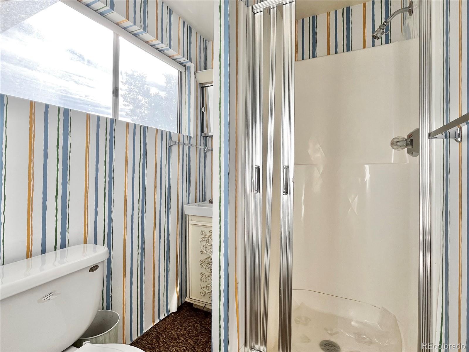 MLS Image #21 for 160 s circle drive,bailey, Colorado