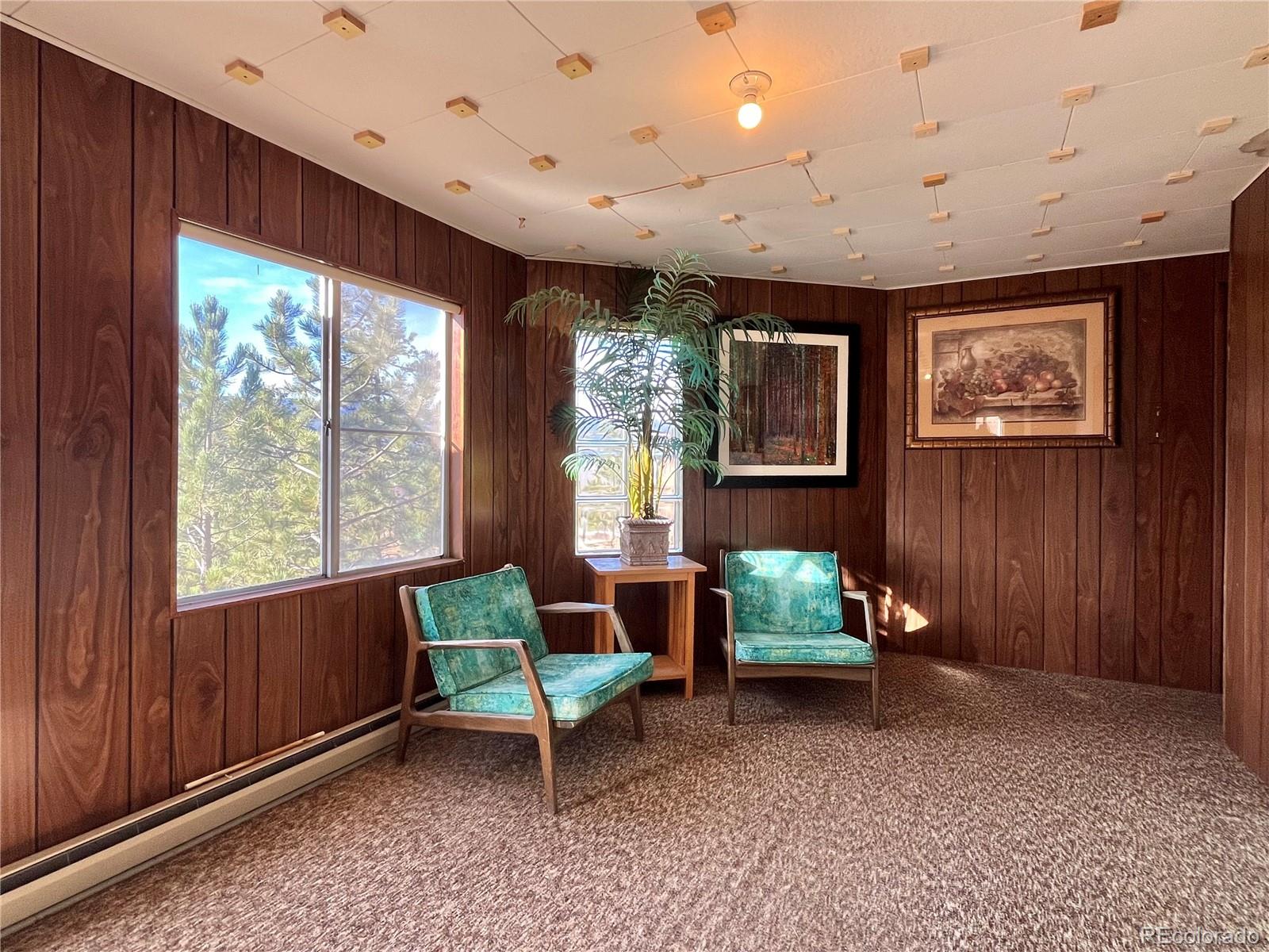 MLS Image #23 for 160 s circle drive,bailey, Colorado