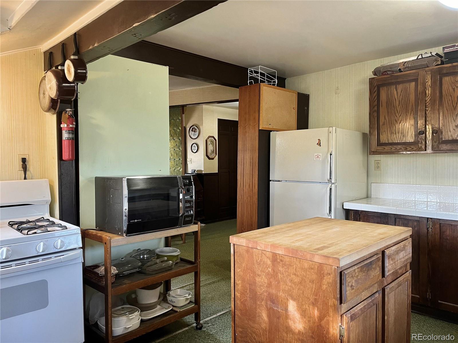 MLS Image #4 for 160 s circle drive,bailey, Colorado