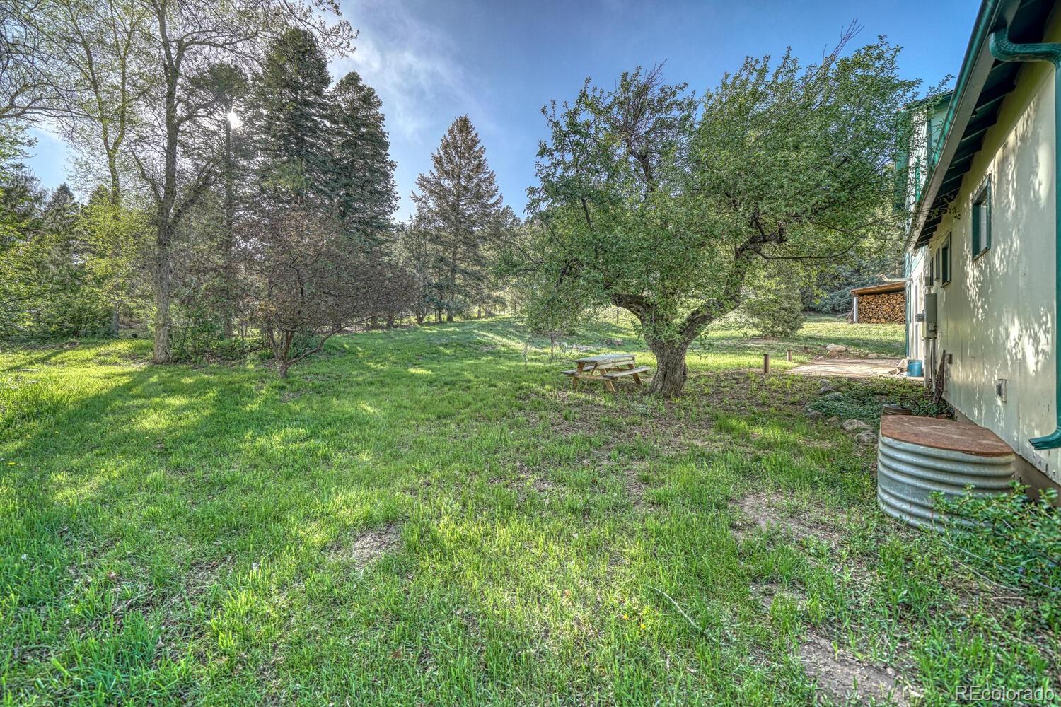 MLS Image #38 for 21303  hwy 96 ,wetmore, Colorado