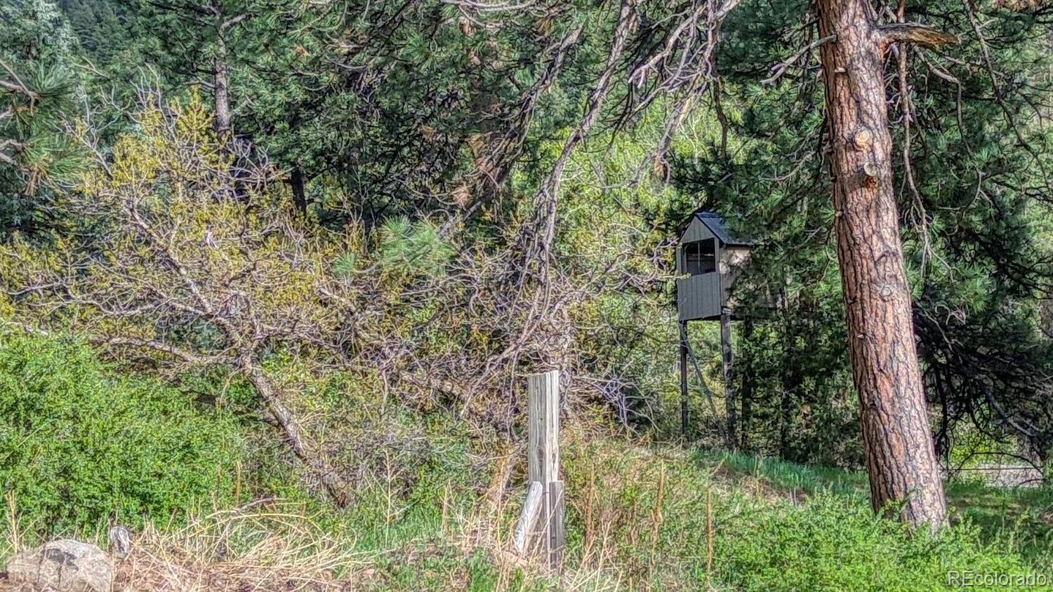 MLS Image #42 for 21303  hwy 96 ,wetmore, Colorado