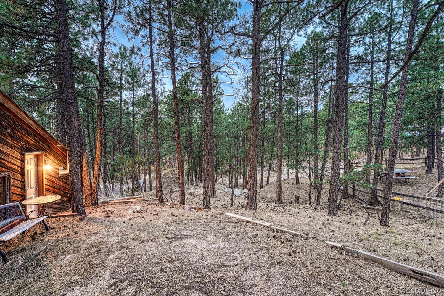 MLS Image #46 for 1325  deby place,colorado springs, Colorado