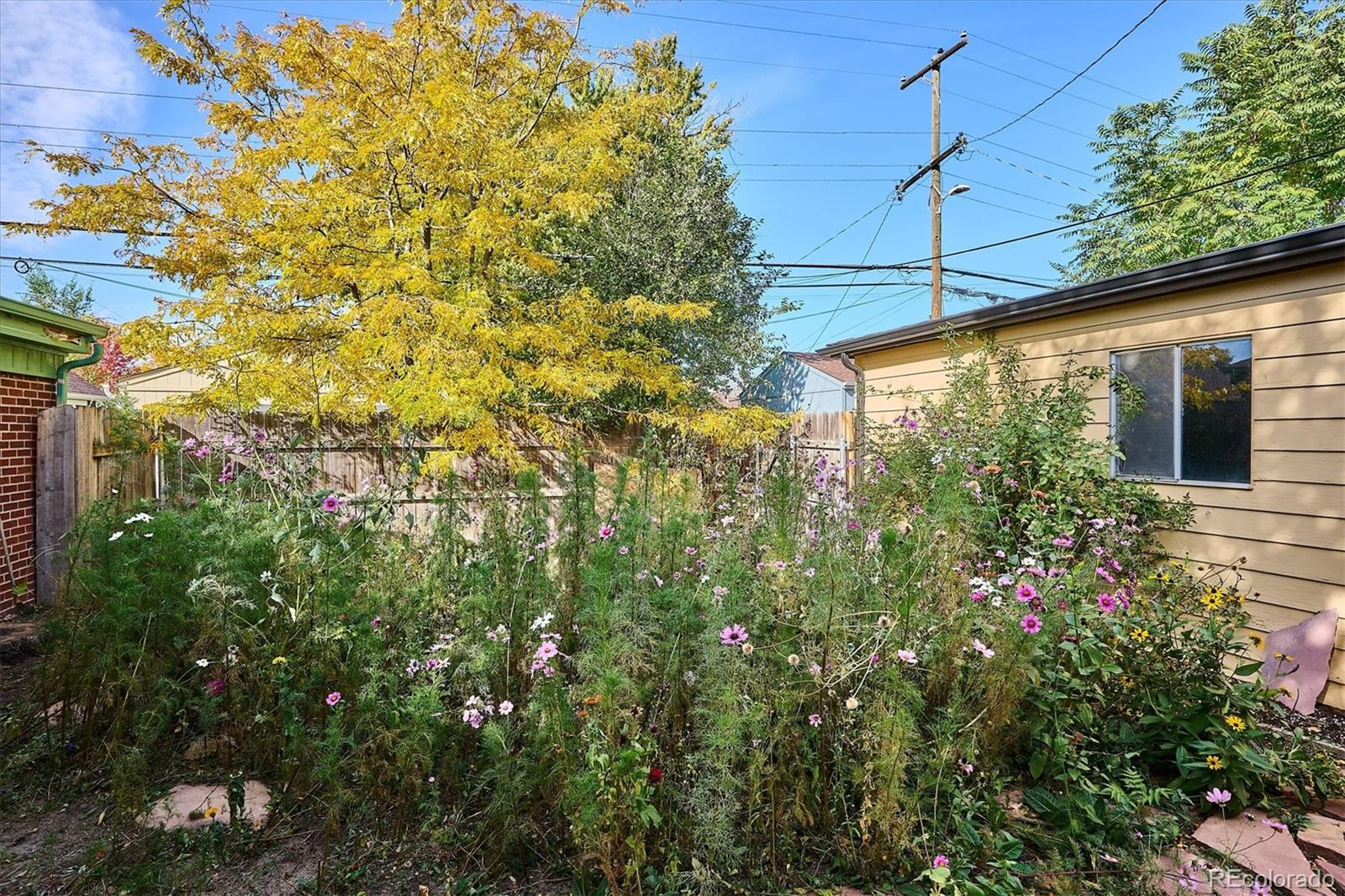 MLS Image #28 for 2865  oneida street,denver, Colorado