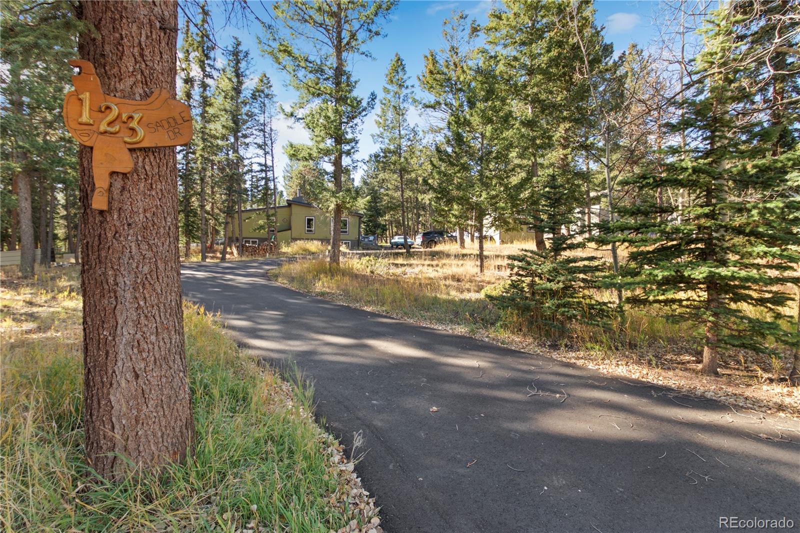 MLS Image #28 for 123  saddle drive,woodland park, Colorado