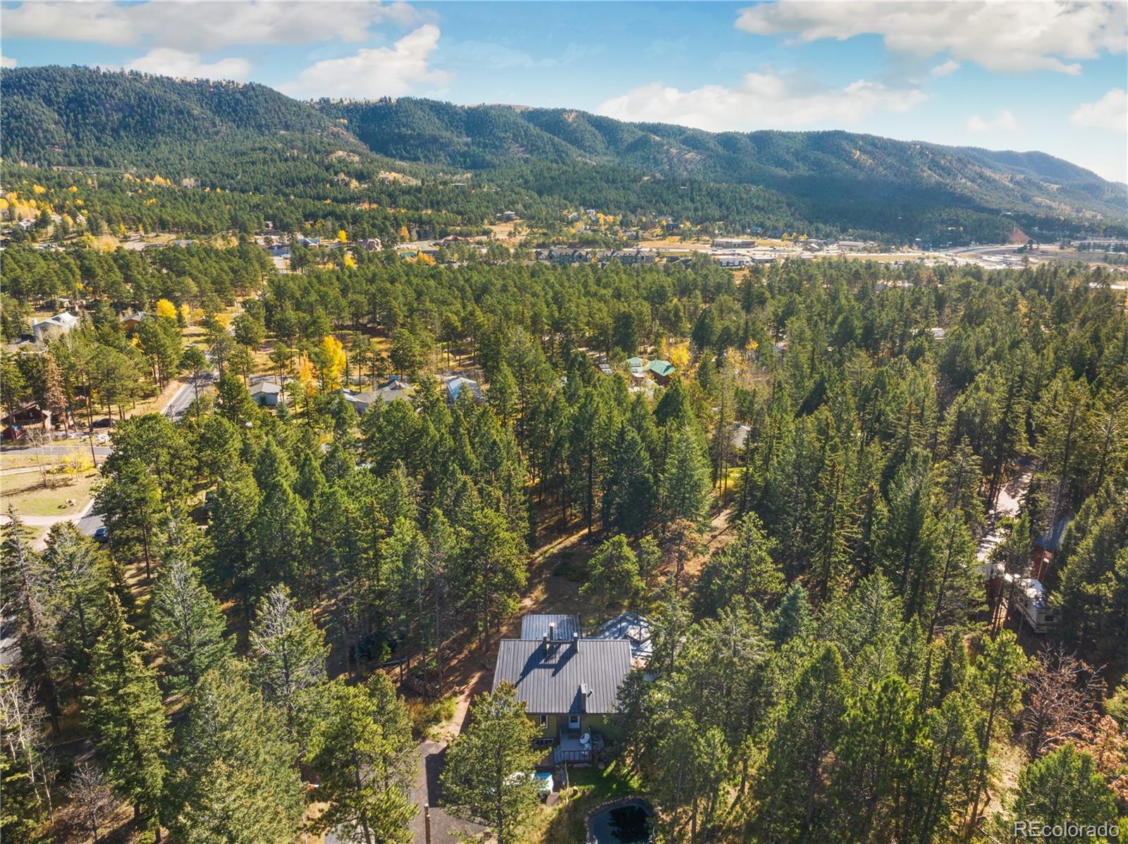 MLS Image #42 for 123  saddle drive,woodland park, Colorado