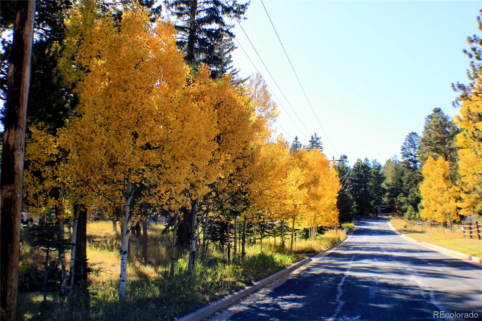 MLS Image #44 for 123  saddle drive,woodland park, Colorado