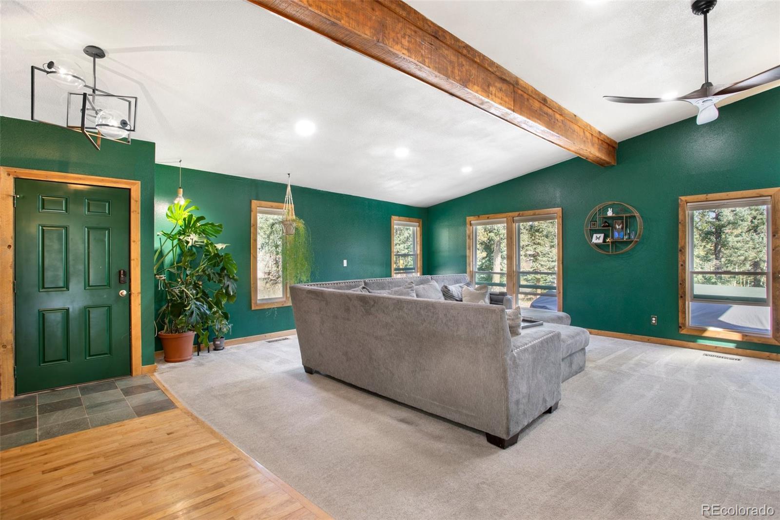 MLS Image #9 for 123  saddle drive,woodland park, Colorado