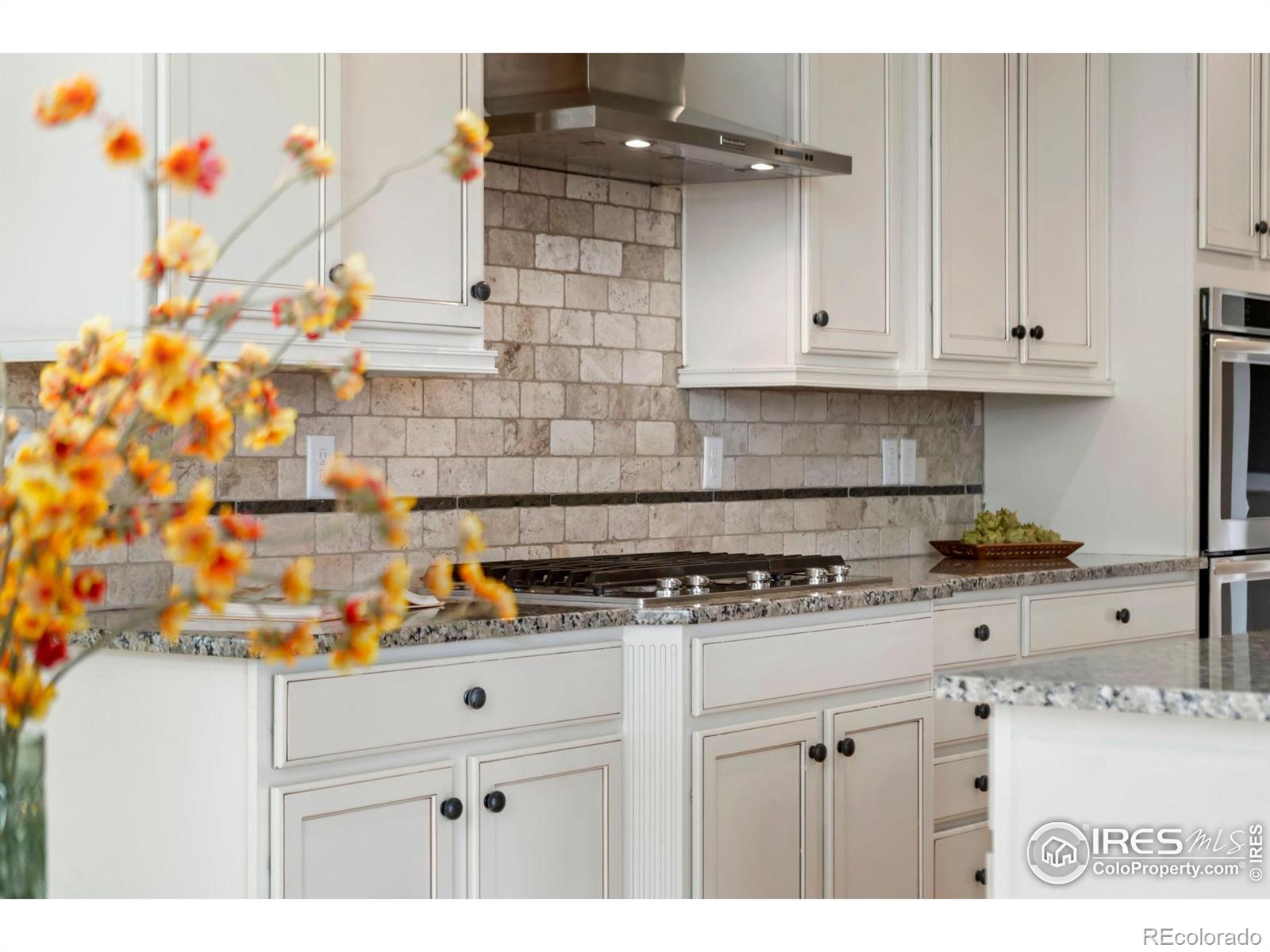MLS Image #12 for 5609  coppervein street,fort collins, Colorado