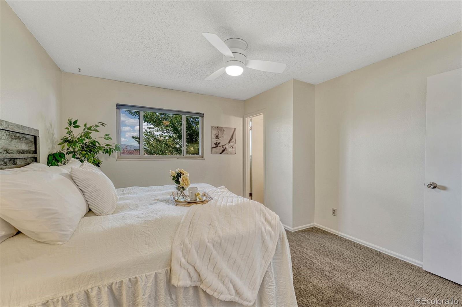 MLS Image #3 for 2982  buttermilk circle,colorado springs, Colorado