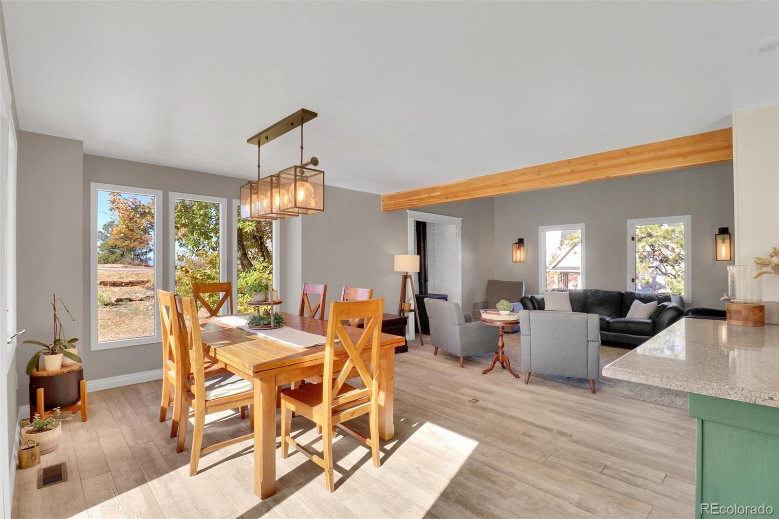 MLS Image #10 for 6027  shavano place,parker, Colorado