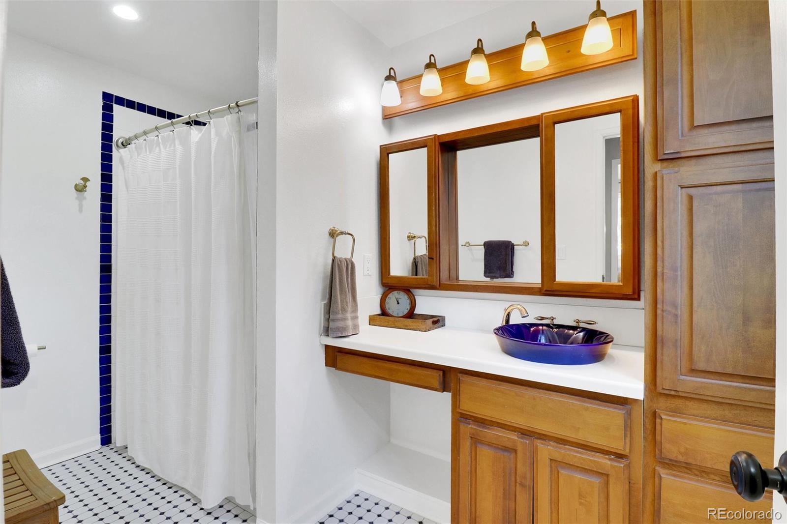 MLS Image #19 for 6027  shavano place,parker, Colorado