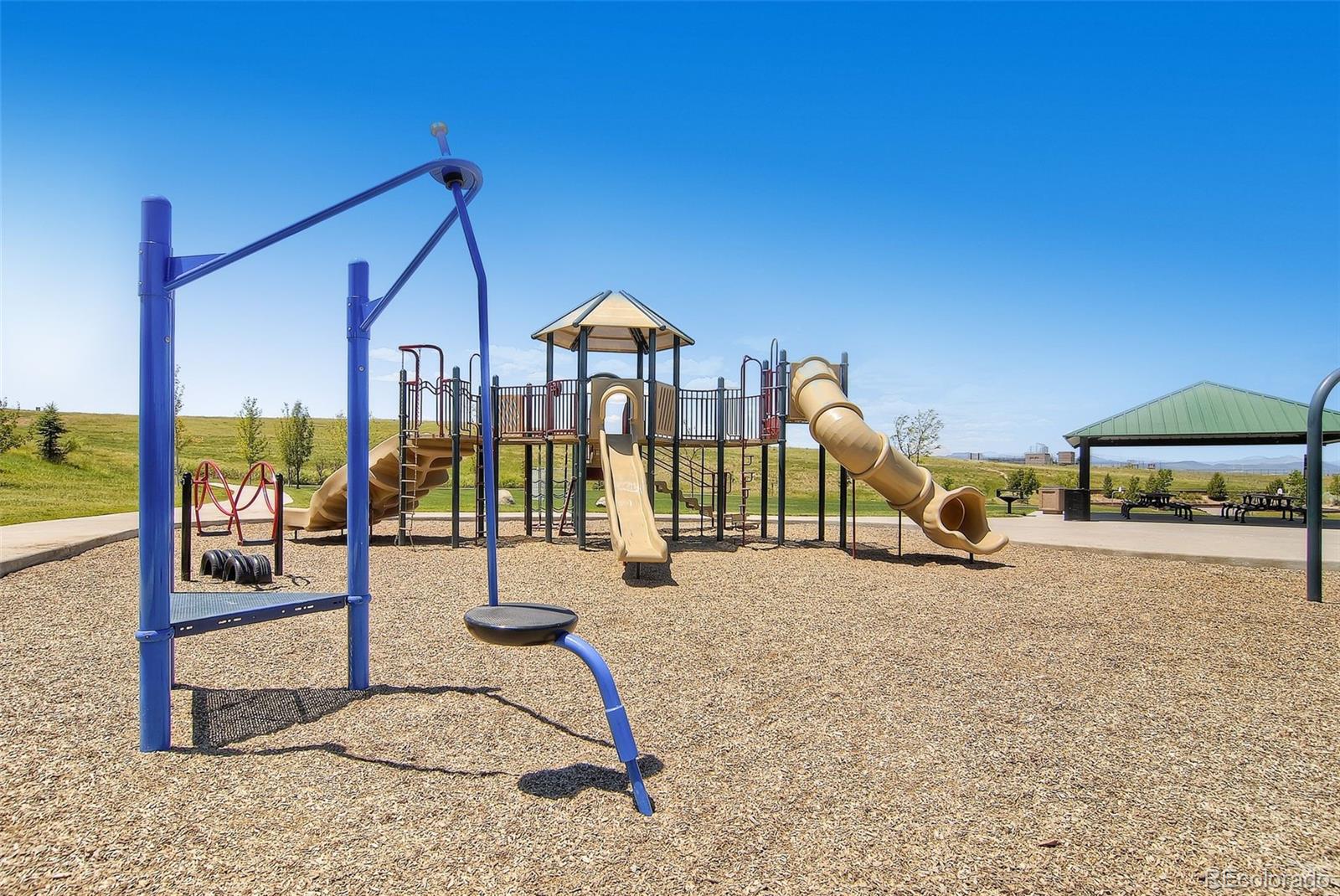 MLS Image #33 for 10728  evondale street,highlands ranch, Colorado