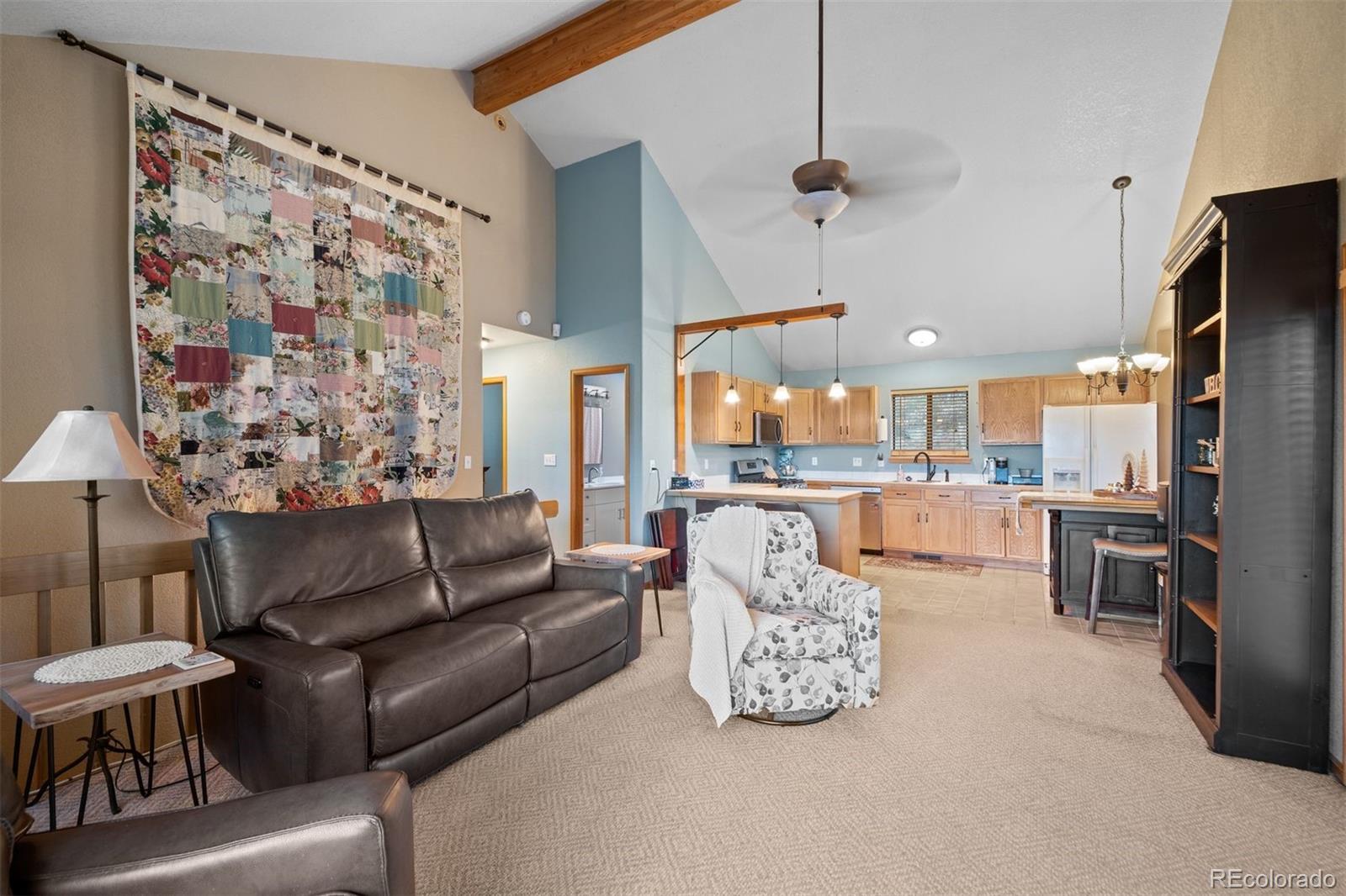 MLS Image #10 for 609  gold flake terrace,bailey, Colorado